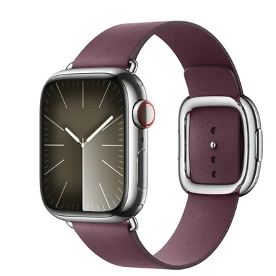 Apple Watch Series 9 GPS + Cellular, 41mm Silver Stainless Steel Case with Mulberry Modern Buckle - Small