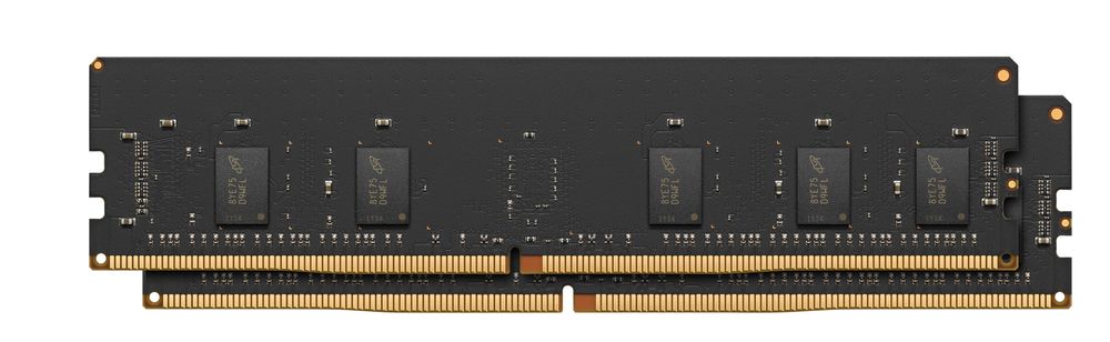 16GB (2x8GB) DDR4 ECC Memory Kit