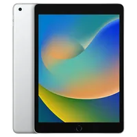 Buy Refurbished iPad Wi-Fi 256GB - Silver (9th Generation)
