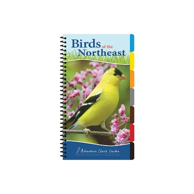 Birds of the Northeast - (Adventure Quick Guides) by Stan Tekiela (Spiral Bound)