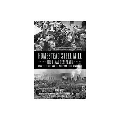 Homestead Steel Mill-The Final Ten Years - by Mike Stout (Paperback)