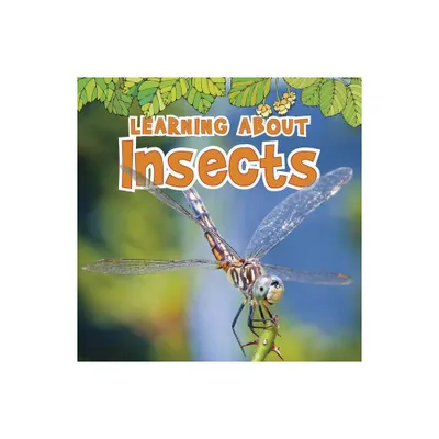 Learning about Insects - (Natural World) by Catherine Veitch (Paperback)