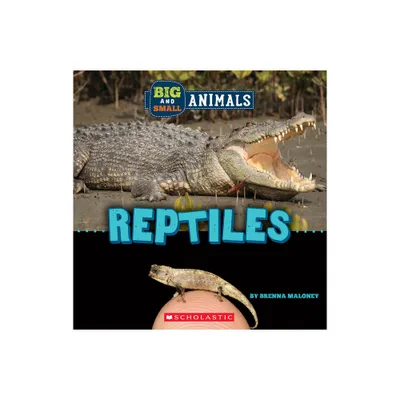 Reptiles (Wild World: Big and Small Animals