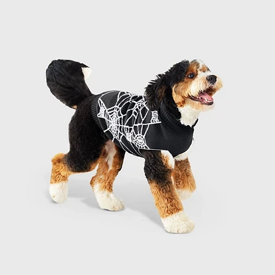 Halloween Spiderweb Dog Sweater