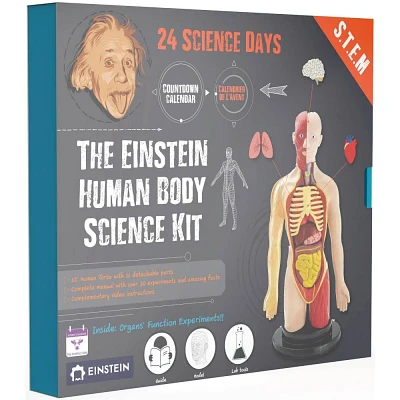 The Purple Cow The Human Body Advent Calendar