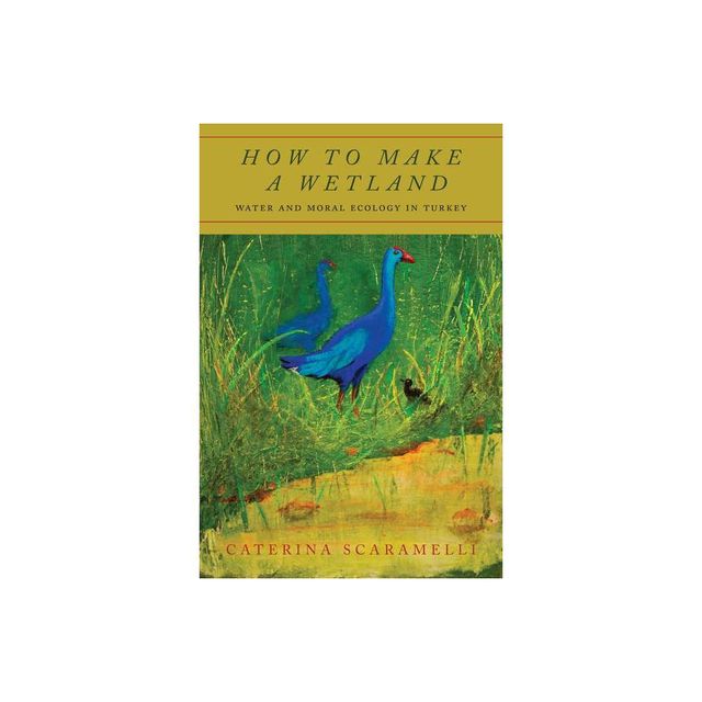 How to Make a Wetland - by Caterina Scaramelli (Paperback)