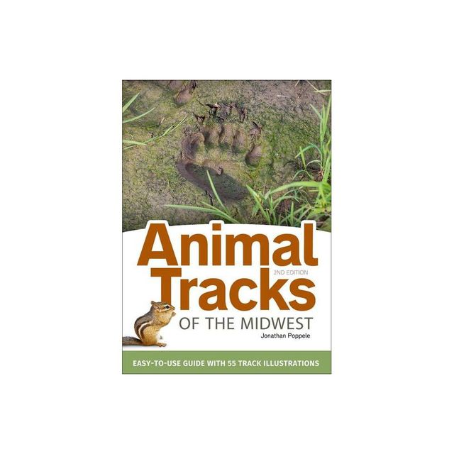 Animal Tracks Of New Jersey - By Tamara Eder & Edwin Arnfield (paperback) :  Target