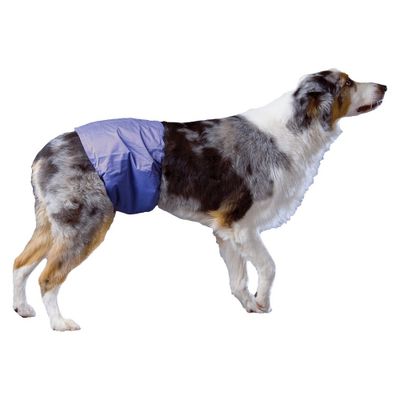 PoochPad Reusable Male Wrap Diapers for Pets - L