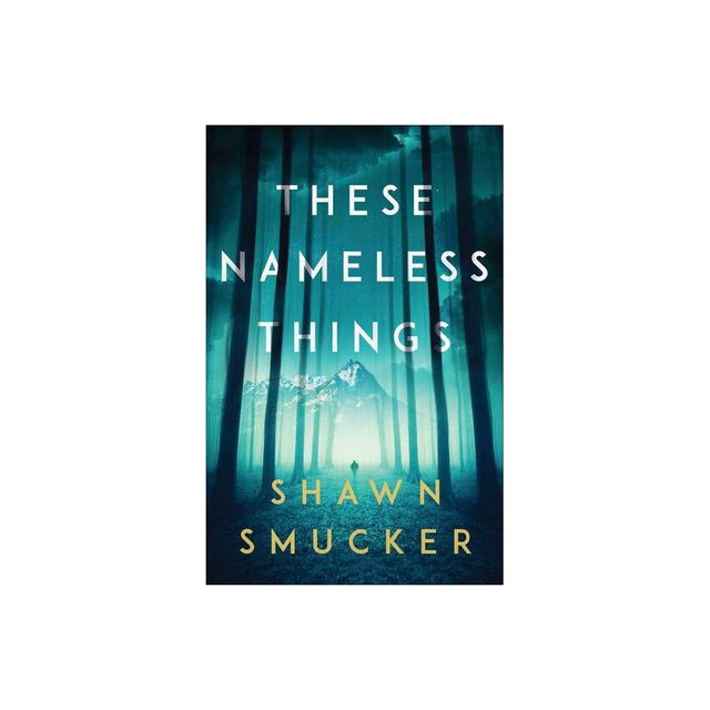 These Nameless Things - by Shawn Smucker (Paperback)