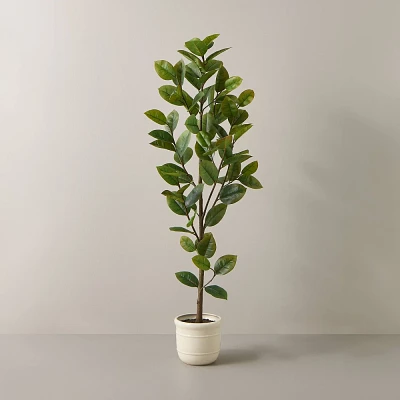 72 Faux Potted Rubber Tree - Hearth & Hand with Magnolia