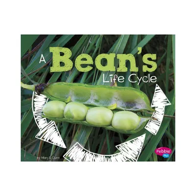 A Beans Life Cycle - (Explore Life Cycles) by Mary R Dunn (Paperback)