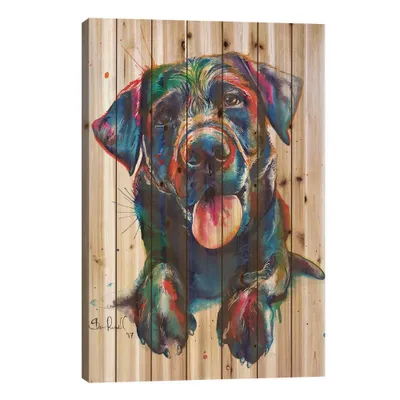 40 x 26 Black Lab II Wood Print by Weekday Best - iCanvas: UV-Cured, High-Definition Animal Wall Art, Pinewood