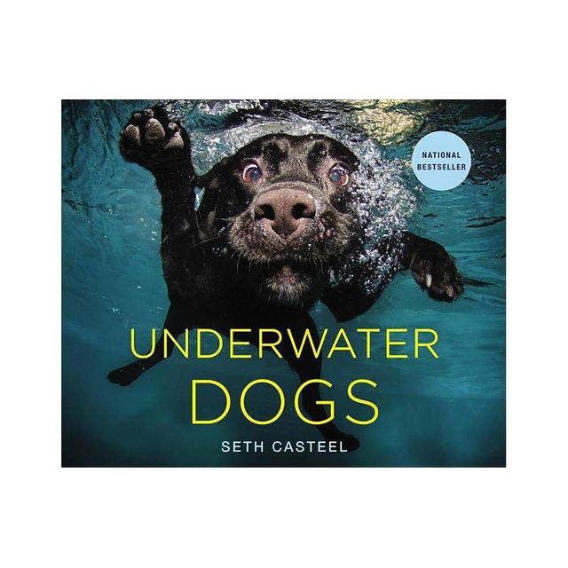 Underwater Dogs by Seth Casteel (Hardcover) by Seth Casteel