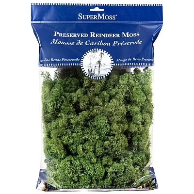 SuperMoss Preserved Reindeer Moss Decorative Filler: Soft, Spongy Indoor/Outdoor Craft Material - Green