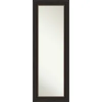 19 x 53 Non-Beveled Accent Bronze Full Length on The Door Mirror - Amanti Art: Polystyrene Frame, Includes Mounting Hardware