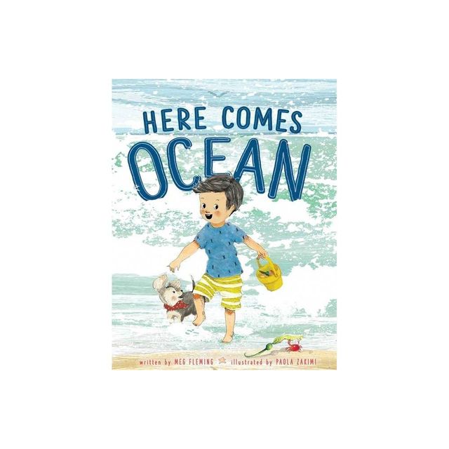 Here Comes Ocean - by Meg Fleming (Hardcover)