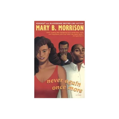 Never Again Once More - (Soulmates Dissipate) by Mary B Morrison (Paperback)