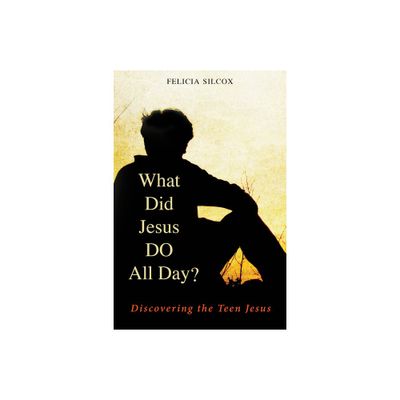 What Did Jesus Do All Day? - by Felicia Silcox (Paperback)