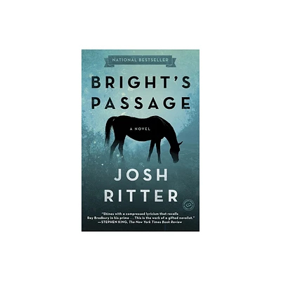 Brights Passage - by Josh Ritter (Paperback)