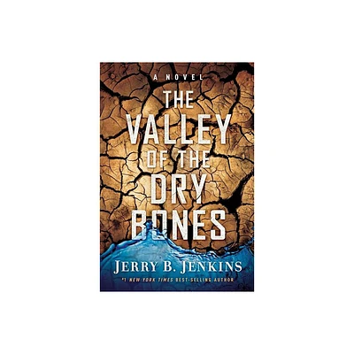 The Valley of Dry Bones - by Jerry B Jenkins (Paperback)