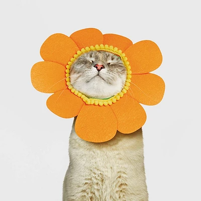 Halloween Orange Sunflower Cat Costume - Hyde & EEK! Boutique