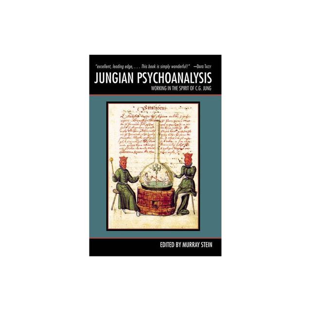 Jungian Psychoanalysis - by Murray Stein (Paperback)