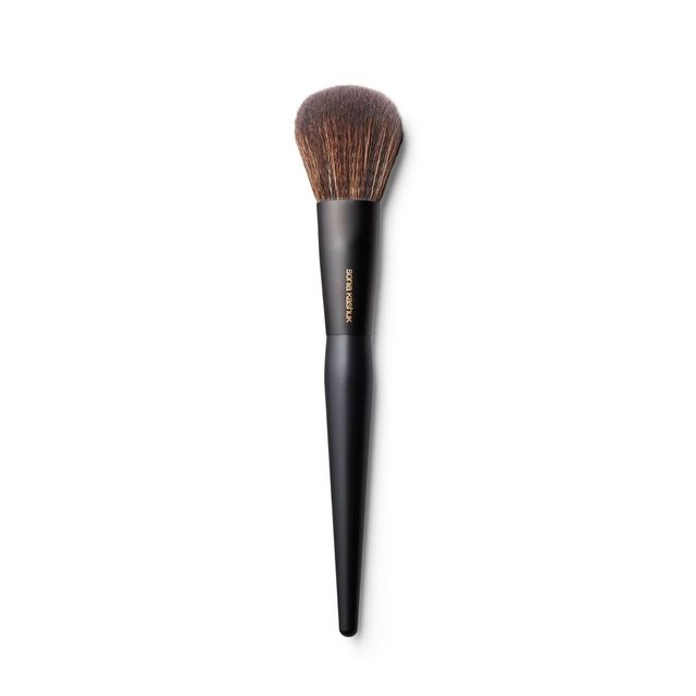 Sonia Kashuk™ Essential Collection Complete Makeup Brush Set