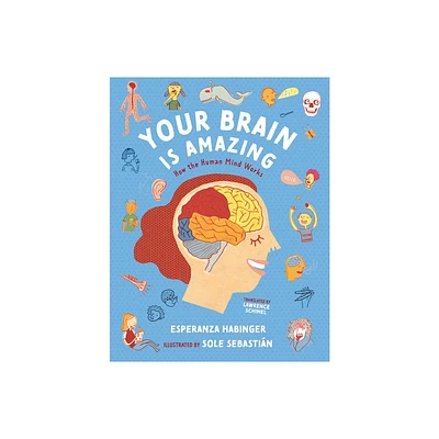 Your Brain Is Amazing - by Esperanza Habinger (Hardcover)