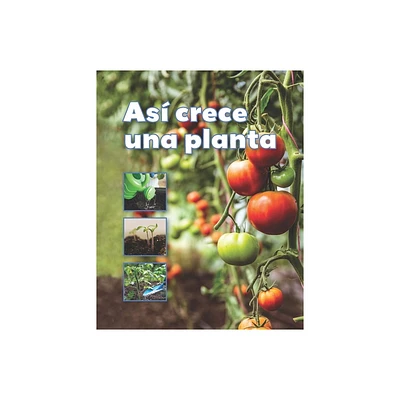 As Crece Una Planta - (Fcil de Leer / Easy to Read) by Vhl (Paperback)