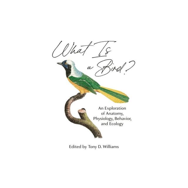 What Is a Bird? - by Tony D Williams (Hardcover)