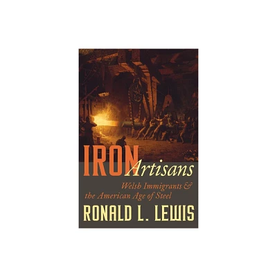 Iron Artisans - (Regional) by Ronald L Lewis (Hardcover)