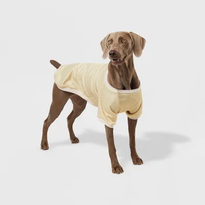 Stripe Lightweight Dog Sweatshirt - Cream