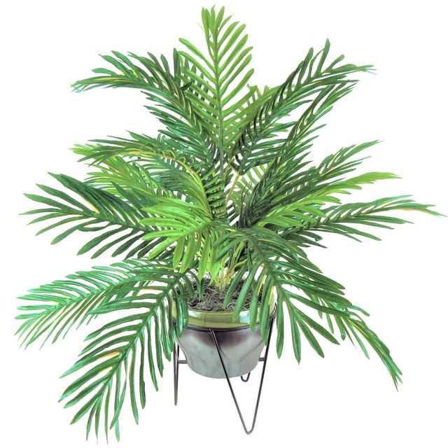 24 x 22 Artificial Phoenix Palm in Ceramic Pot with Stand - LCG Florals