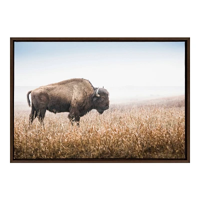 Kate & Laurel All Things Decor  Sylvie American Bison Buffalo in Prairie Grass Framed Canvas Wall Art Brown Prairie Animal