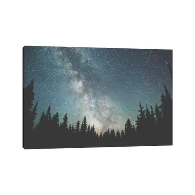 Stars Over The Forest III by Luke Anthony Gram Canvas: Nature Scene - iCanvas