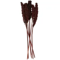 Dried Plant Corn Maze Natural Foliage with Long Stems Dark Brown - Olivia & May: Rustic Home Decor, Dried Corn Husk