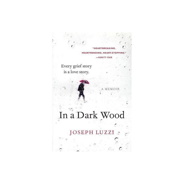 In a Dark Wood - by Joseph Luzzi (Paperback)