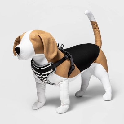 Halloween Skeleton Glow Reflective and Adjustable Dog Harness