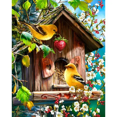 Springbrook Home Tweet Home 500 pc Jigsaw Puzzle