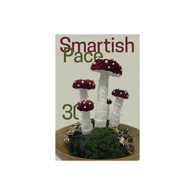 Smartish Pace - by Stephen Reichert (Paperback)