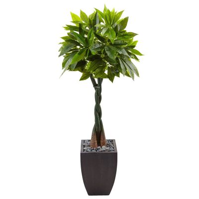 Nearly Natural 5ft Artificial Money Tree in Black Square Planter: Faux Plant Decor, No Assembly Required