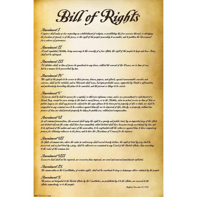 34 x 22 Premium Poster The United States of America Bill of Rights - Trends International: Educational Wall Art