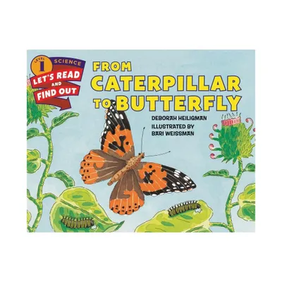 From Caterpillar to Butterfly - (Lets-Read-And-Find-Out Science 1) by Deborah Heiligman (Paperback)