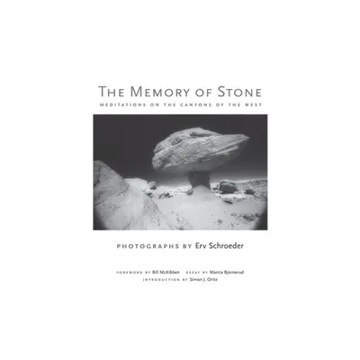 The Memory of Stone - by Erv Schroeder (Hardcover)