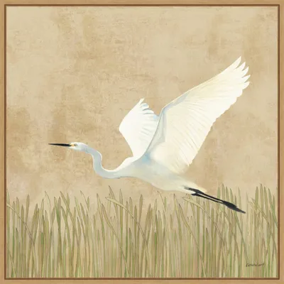 22 x 22 Egret Alighting II by Kathrine Lovell: Amanti Art Canvas with Polystyrene Frame