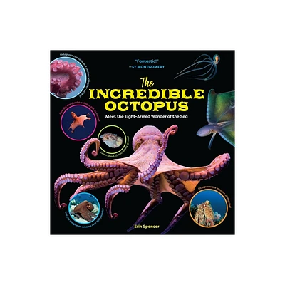 The Incredible Octopus - by Erin Spencer (Hardcover)