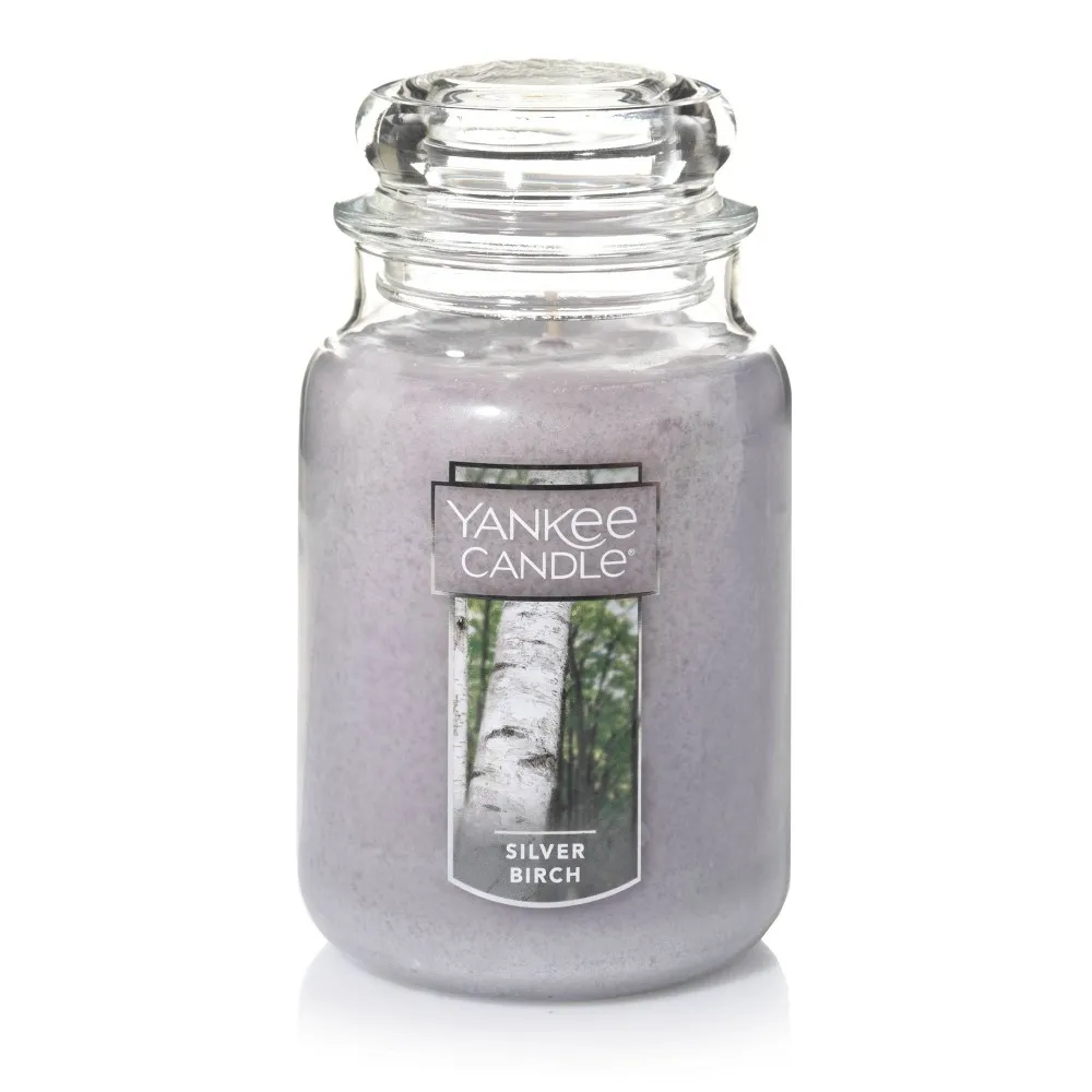 22oz Classic Silver Birch - Yankee Candle: Lidded Jar, Paraffin Wax, Harvest Spice Scent, 150hr Burn Time