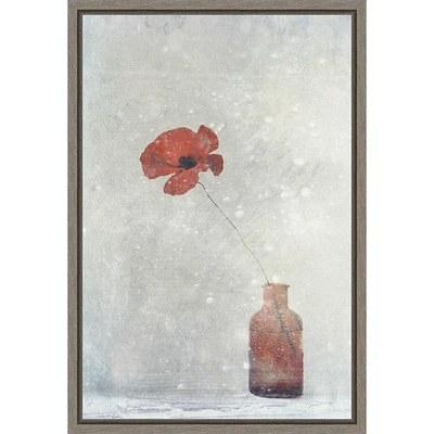 Amanti Art 16x23 Winter Poppy by Delphine Devos: Modern Lithograph, Vertical Wall Art, Polystyrene Frame