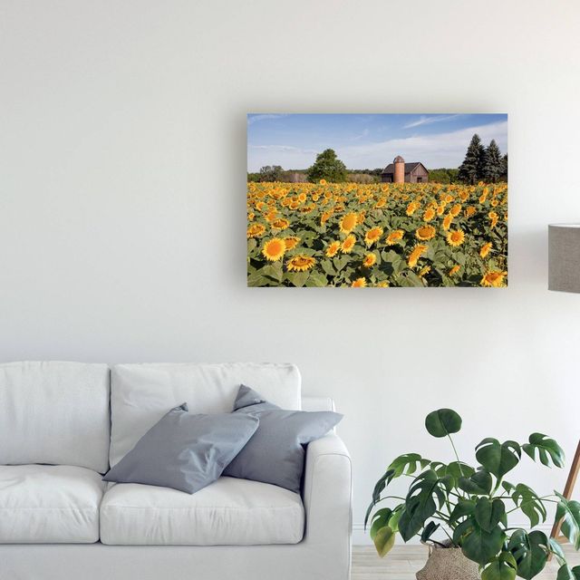 12 x 19 Sunflowers and Barn Owosso Mi by Monte Nagler - Trademark Fine Art: Giclee Canvas, Unframed Wall Decor