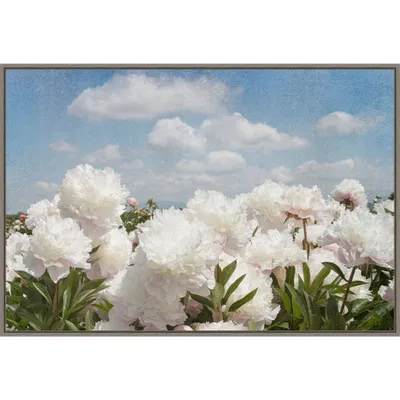 Amanti Art 33x23 Peony Sunshine I by Georgianna Lane Framed Canvas Wall Art Print: Botanical Scene with Clouds